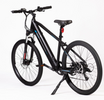 Load image into Gallery viewer, ALLEGRO TDL6135 Electric Bike
